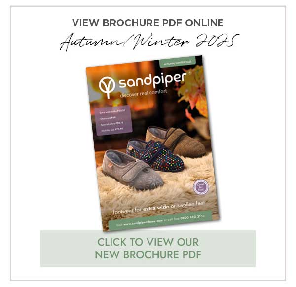 View Latest Brochure PDF Online
